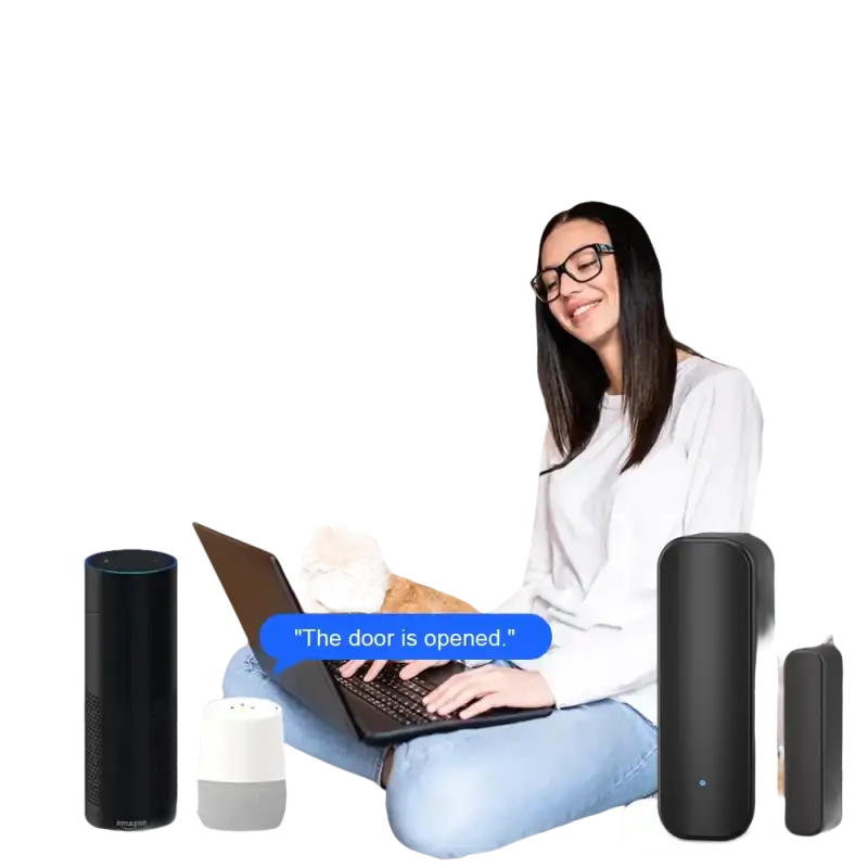 Smart home voice control system.