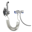 Chrome bidet sprayer with coiled hose.