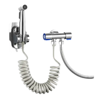 Chrome bidet sprayer with coiled hose.