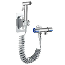 Silver bidet sprayer with coiled hose.