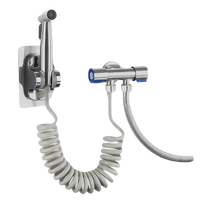 Chrome bidet sprayer with coiled hose.