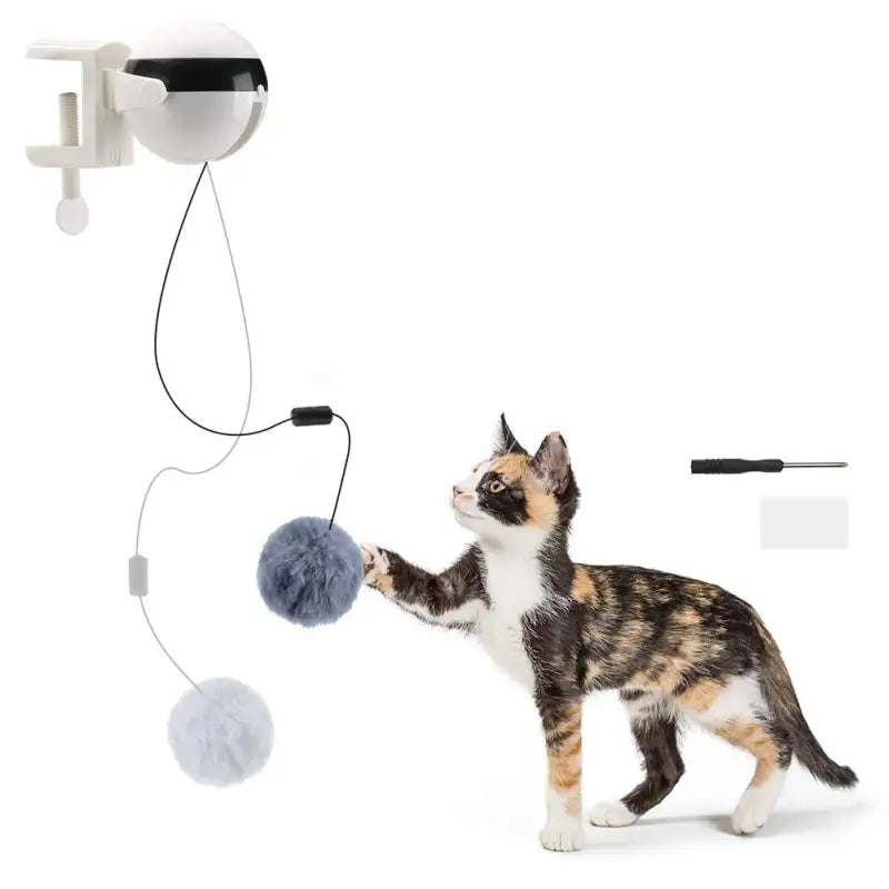Yoyo Lifting Cat Antics Smart Motion Teaser Ball Fun for Indoor Cats